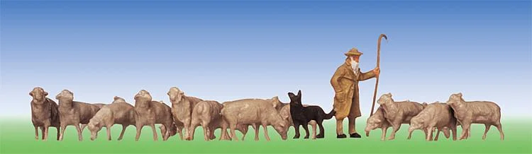 Herder, honden, schapen