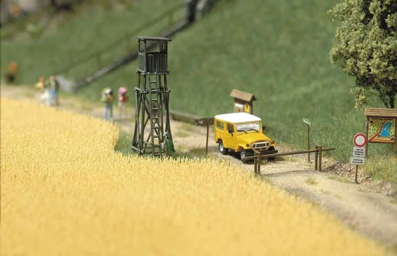 Tarwe veld