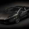 Pocher 1:8 Lamborghini Aventador LP700-4 Roadster Nero Nemesis PCHK121F
